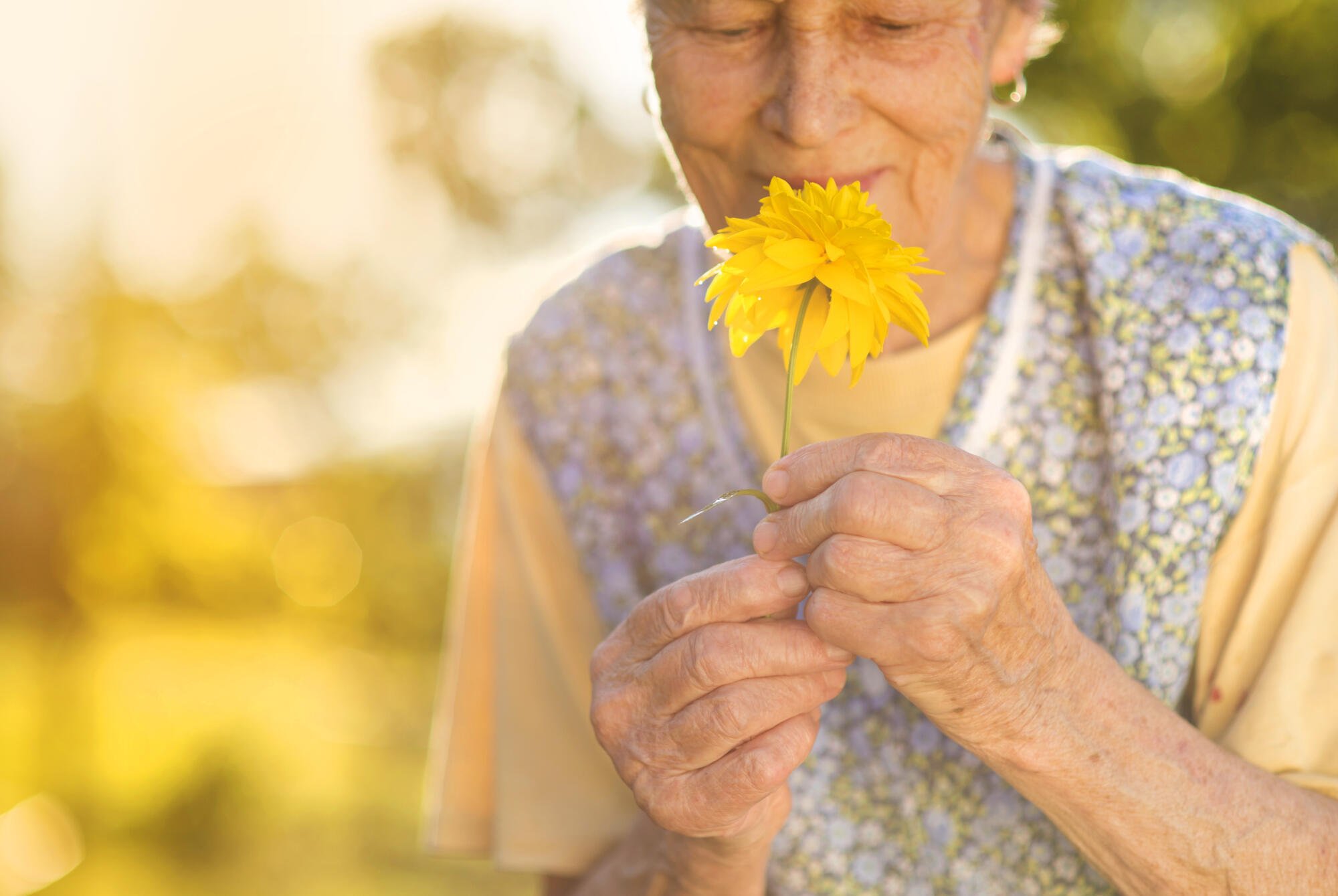 escondido ca memory care